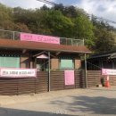 그대애개 | 그대애개 선택 전 볼 핵심 정보