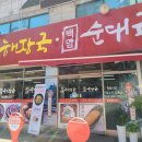 백암느티나무 이미지