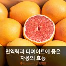 하이풀 스포츠 이미지