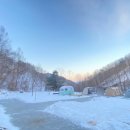 캠프 인더숲 이미지