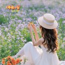 류원정 / 오십보 백보 이미지
