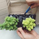 세봉농장 이미지