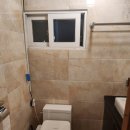 하나애견 이미지