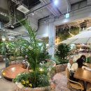 돈까스익스프레스 이미지