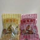 핫펫 | [강아지간식]핫펫 HOTPET 강아지 양치껌 뽀득츄 후기