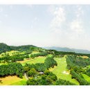 태광 카 이미지