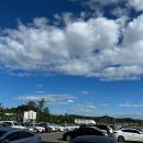 아레나 수영장 이미지