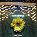 4235 | 충북 단양여행, 아이와 가볼만한 곳//다누리아쿠아리움//주차·할인·지역상품권 환급 등 방문후기