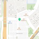 분당고양이분양 고사남 이미지