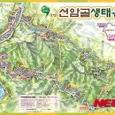 선암골생태유람길 이미지