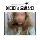 네이처리퍼블릭 | [리얼카메라] 쿠팡 로켓배송 탈모샴푸 '네이처리퍼블릭 블랙빈 샴푸' 3주 사용후기