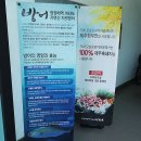 하모리-43 이미지