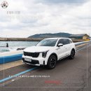 하나로카서비스 | 제주도 렌트카 완전 자차 추천 제주렌트카 돌하루팡 후기