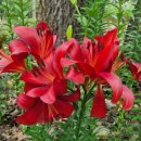 승리하는교회 앞 이미지