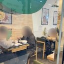 본죽&비빔밥(종로르메이에르점)