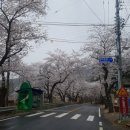 양지회센터 이미지