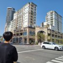 여수웅천매물공인중개사사무소 | 여수부동산 추천, 반려동물 가능한 웅천 트리마제 월세 매물! 이런 조건 또 나오기 쉽지 않을걸?