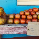 H·S·H Farm 이미지