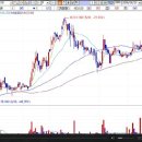 [ 더존비즈온-증권정보채널] 2009년 8월24일 더존비즈온(012510) 분석 ,투자전략 이미지