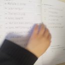 성호초등학교 | 성호초등학교 학생의 파닉스 1달차 수업을 소개합니다.