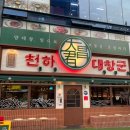 천하대창군 로고