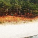 낙동강세평하늘길 이미지
