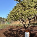 충효당 화장실 이미지