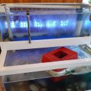 망포 중학교 앞 이미지