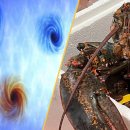 CW-1861-01 이미지