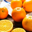 환영상회 이미지