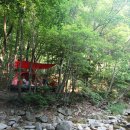 숲해설체험 이미지