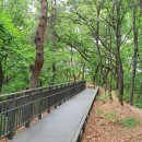 체육문화센터순환1 이미지