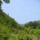 오갑초등학교 | 오갑산 (609m) (충북 음성) 산행기