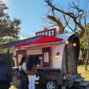 서광신정농장 | 제주시가볼만한곳 길갈팜랜드 동물관람 및 동백꽃 구경갔던 후기