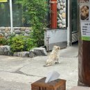 Jun스크린 | Jun, 1 • 한해의 절반을 (술로)보내며