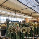 기선농장 이미지