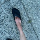 태영차용품점 | 8월의 캠핑