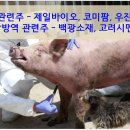 백광농장 이미지