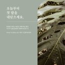 비데랜드 이미지