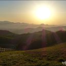 은행목장 이미지