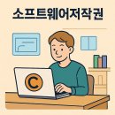 [한국저작권위원회] 공공기관 소프트웨어 저작권 & 자산관리 이해 | 소프트웨어저작권 보호의 핵심과 저작권침해 방지를 위한 법적 대응 및 소수주주권 실무 가이드