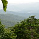 용인자연휴양림 이미지