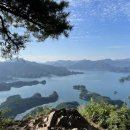 게으른 악어 이미지