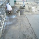 (주)트랜지 이미지