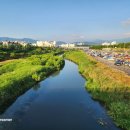 남대천새벽시장 이미지