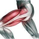 우리짐 합정점 이미지