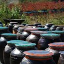 송명희 농장 이미지