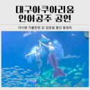 이동로 | 대구아쿠아리움 아이와 다녀온 후기｜입장료 할인·인어공주 공연·위시캣특별전 총정리
