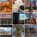 80 | 팔공산 데이트 2025년 크리스마스 카페 콘티80 솔직후기