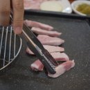 우주생고기 이미지